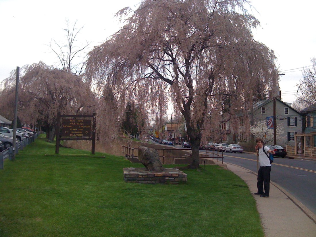 New Hope Such a beautiful sight after nearly 10 hours!