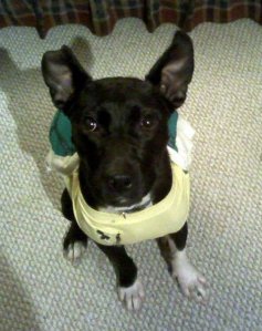 143_520365720866_8487_n