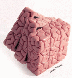 A brain cube!